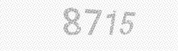 Visual security code — type the characters shown in the image
